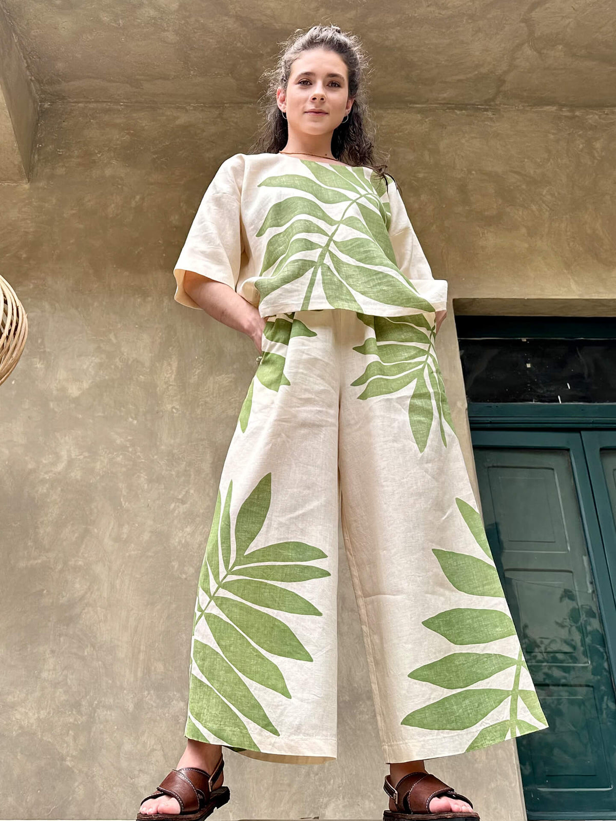 Conjunto Ceratozamia Verde
