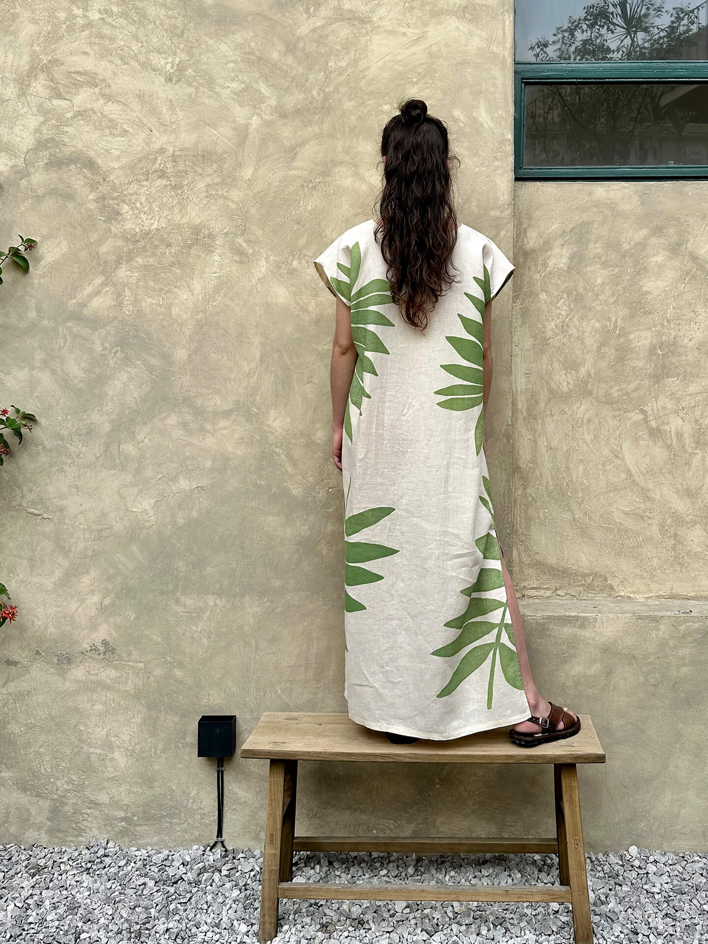 Túnica Ceratozamia Verde