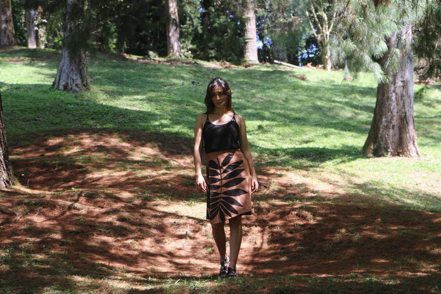 Falda Ceratozamia mobile